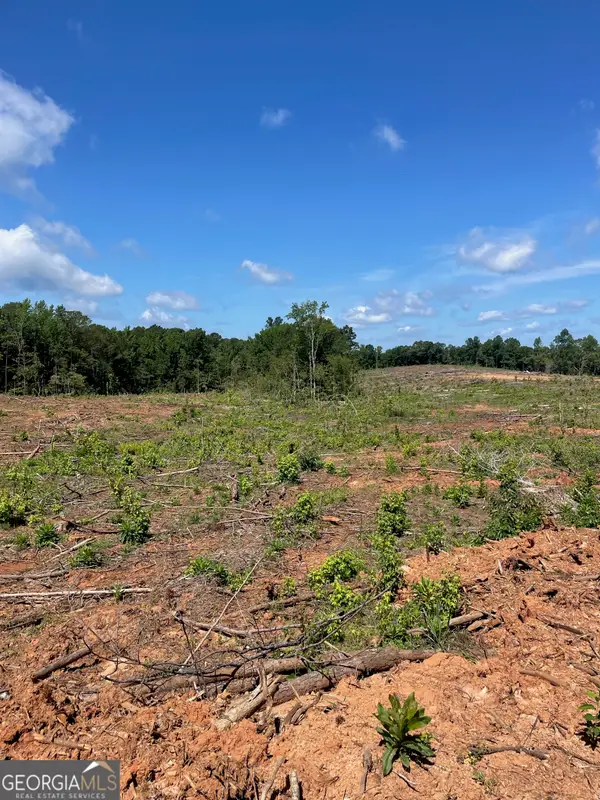 0 Allen Road, Butler, GA 31006