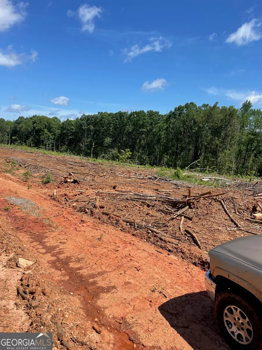 0 Allen Road, Butler, GA 31006 - Image #2