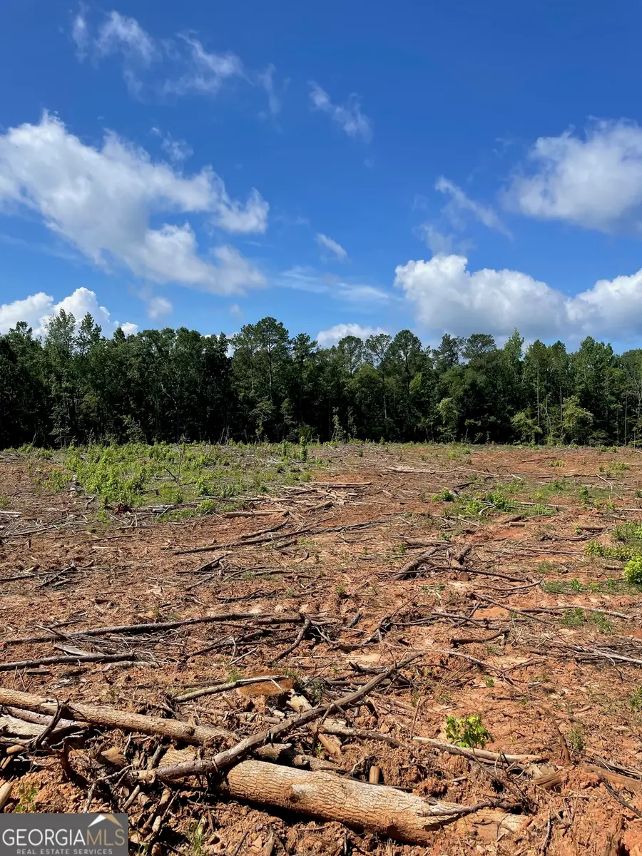 0 Allen Road, Butler, GA 31006 - Image #3