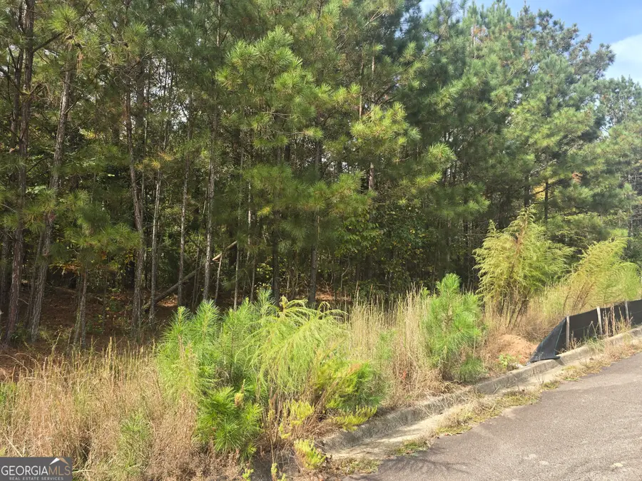 188 Belford Way, Jackson, GA 30233 - Image #3