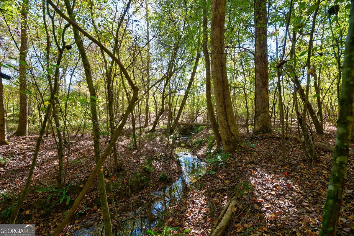 1 Bridges Road, Carlton, GA 30627 - Image #1