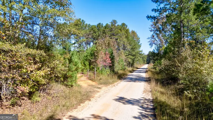 0 Bridges Road, Carlton, GA 30627 - Image #2