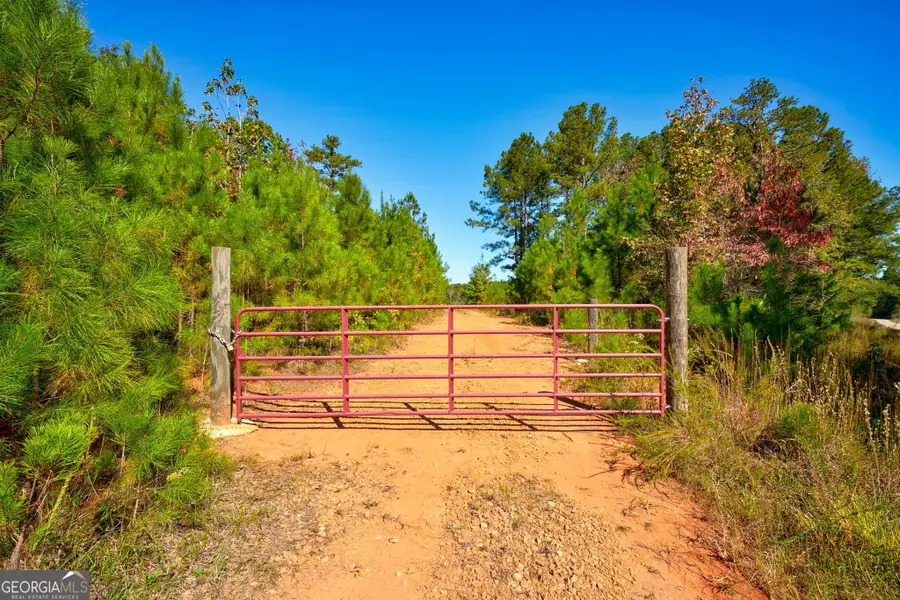 0 Bridges Road, Carlton, GA 30627 - Image #3