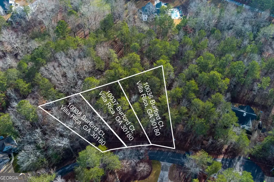 10037 Burford Court, Villa Rica, GA 30180 - Image #3