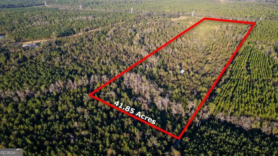 0 Morris Landing, Baxley, GA 31513 - Image #2