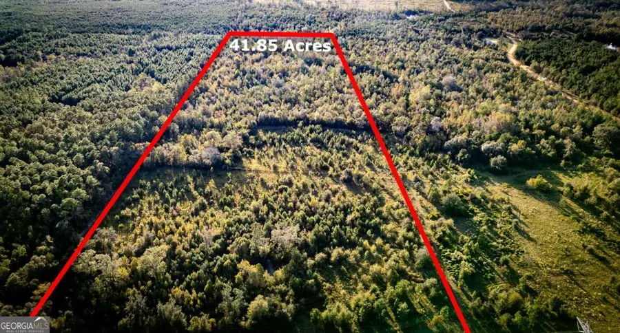 0 Morris Landing, Baxley, GA 31513 - Image #3