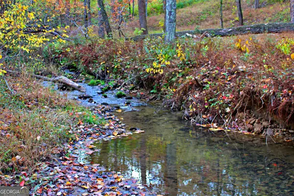 LOT 157 N Laceola Road #157, Cleveland, GA 30528