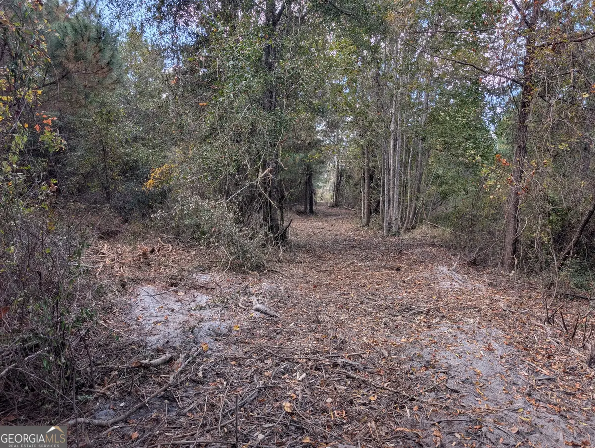 0 Highway 301 South, Jesup, GA 31546 - #1