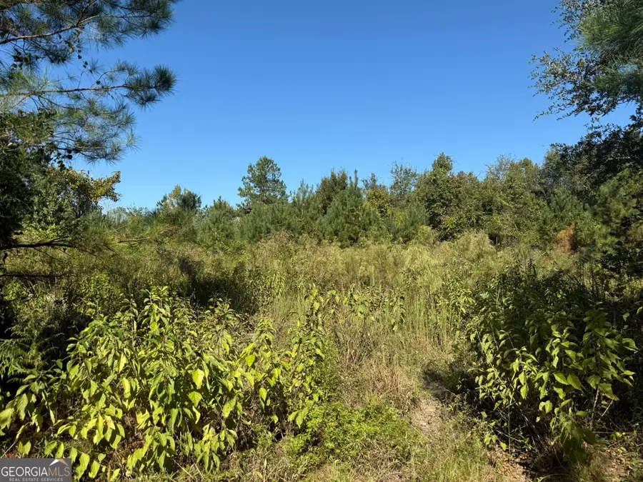 009 Mt Zion Road, Gordon, AL 36343 - Image #2