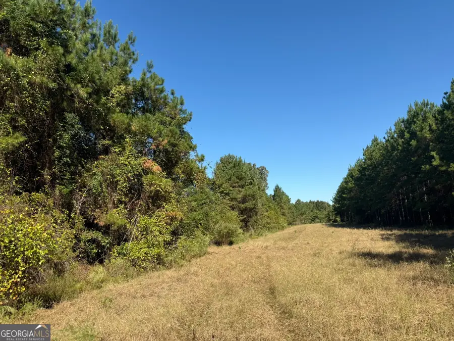 009 Mt Zion Road, Gordon, AL 36343 - Image #3