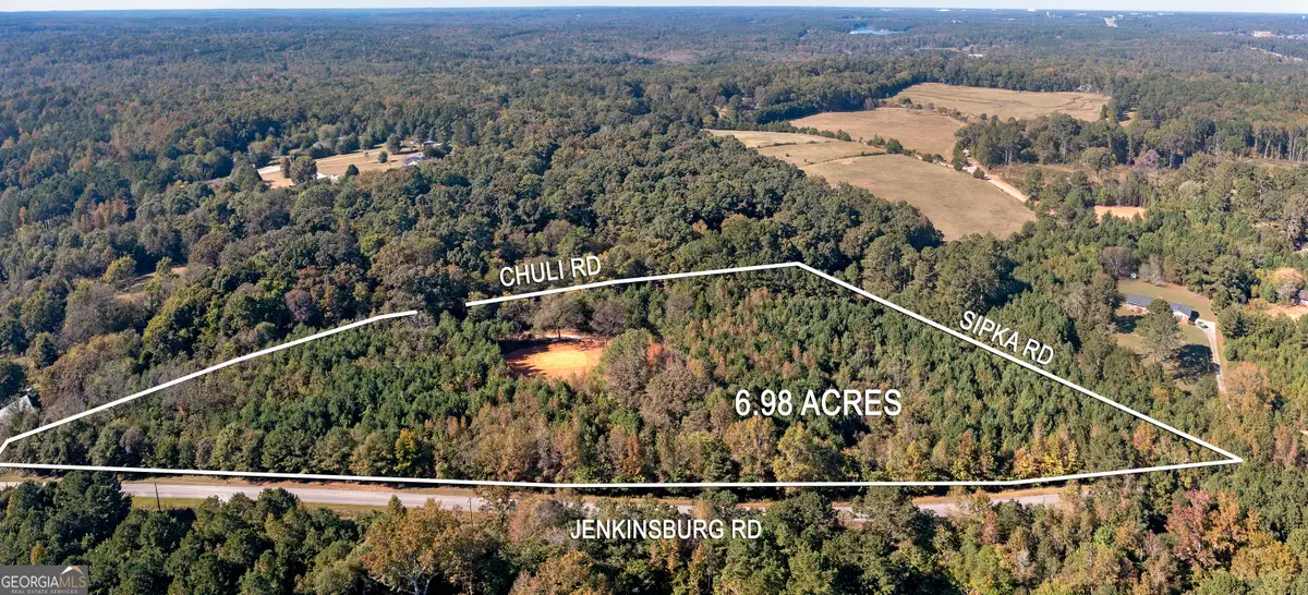 667 Jenkinsburg Road, Locust Grove, GA 30248 - Image #1