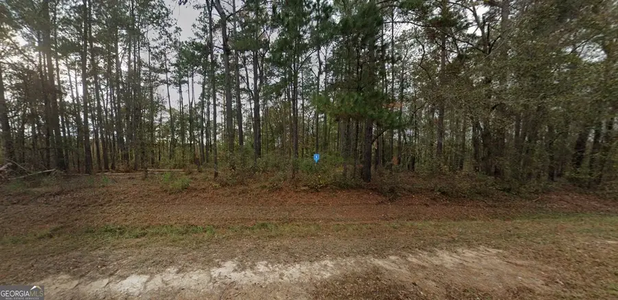 1073 Newington Highway, Sylvania, GA 30467 - Image #2