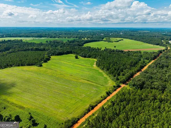 266 +/- AC Loven Mill Road, Richland, GA 31825