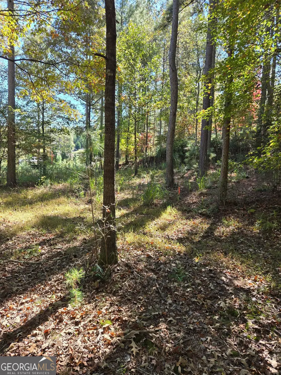 LOT 132 Sandy Lake Lane, Blairsville, GA 30512 - Image #3