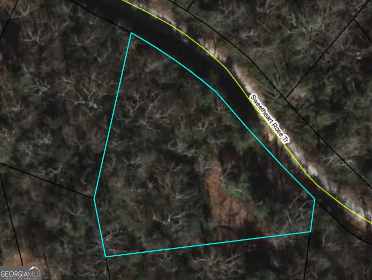 0 Sweetheart Rose Trail, Clayton, GA 30525 - Image #1