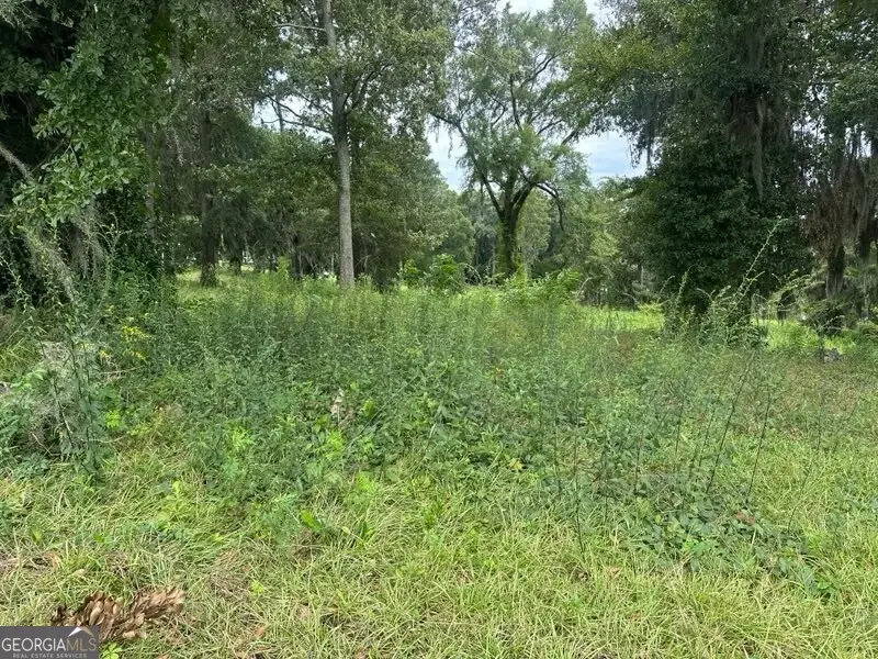 4 Flintview Drive, Cordele, GA 31015 - Image #2