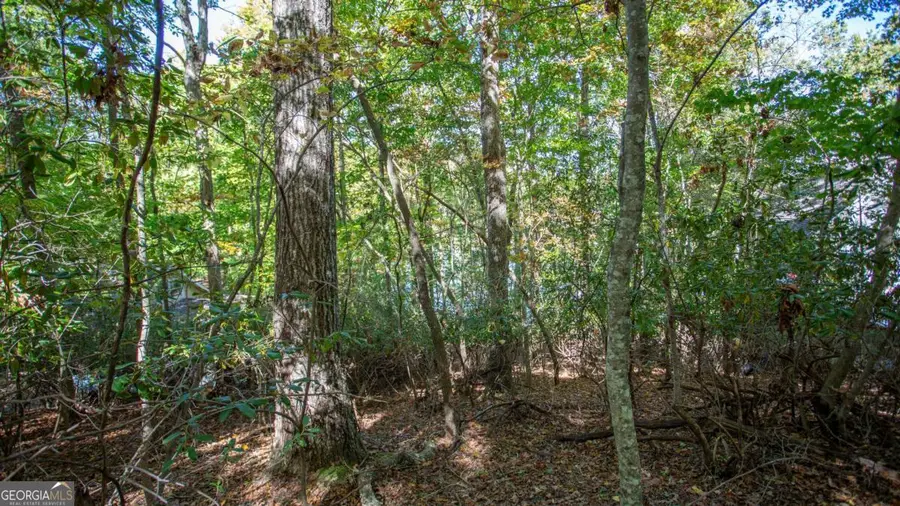 7836 Beachwood Drive, Murrayville, GA 30564 - Image #3