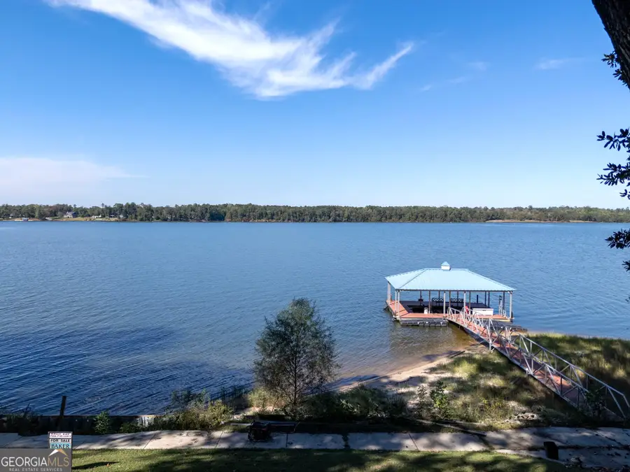 291 Pataula Heights Lane, Fort Gaines, GA 39851 - Image #2