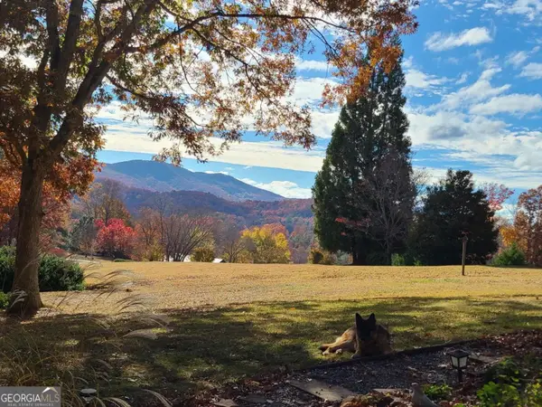 199 Oak Ridge Drive, Blairsville, GA 30512