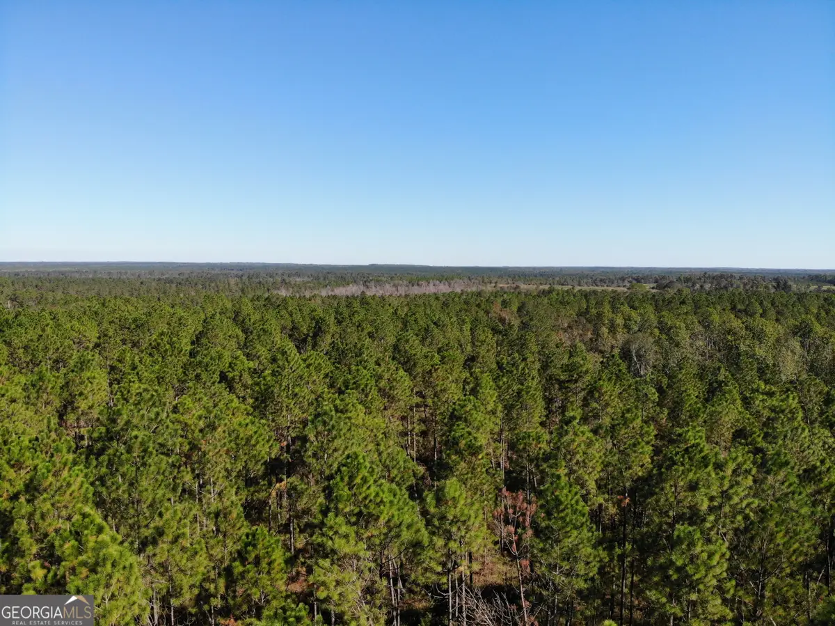 1701 E Golden Isles Highway, McRae-helena, GA 31055 - Image #1