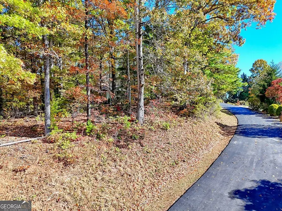 #20 Victoria Woods Circle, Hiawassee, GA 30546 - Image #2