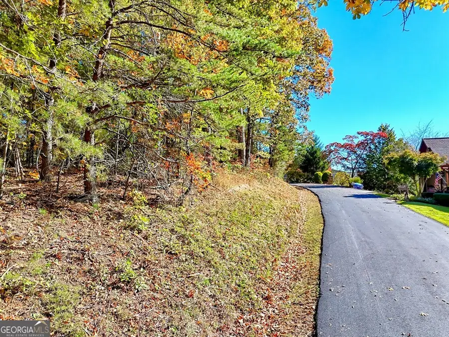 #20 Victoria Woods Circle, Hiawassee, GA 30546 - Image #3