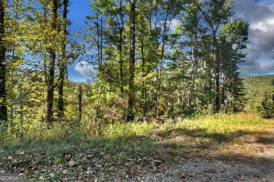 1.9 AC Bell Camp Ridge Road, Blue Ridge, GA 30513 - Image #2