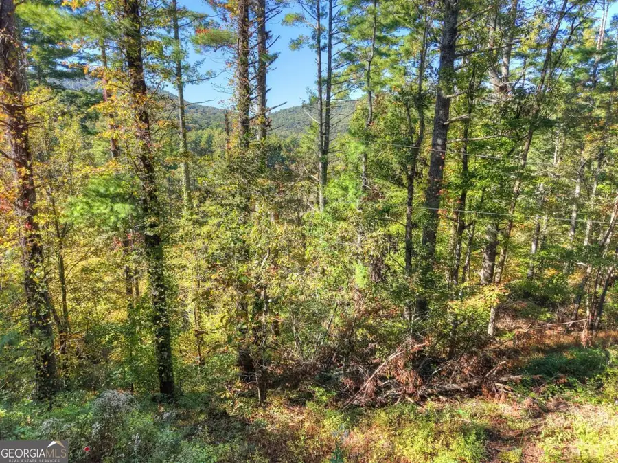 1.9 AC Bell Camp Ridge Road, Blue Ridge, GA 30513 - Image #3