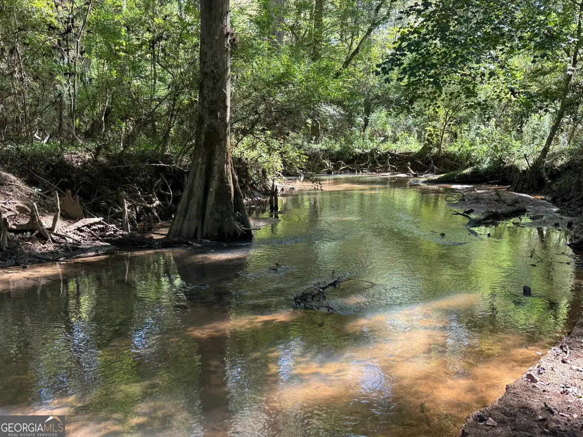 032 Wallace Buie Road, Webb, AL 36376 - Image #1