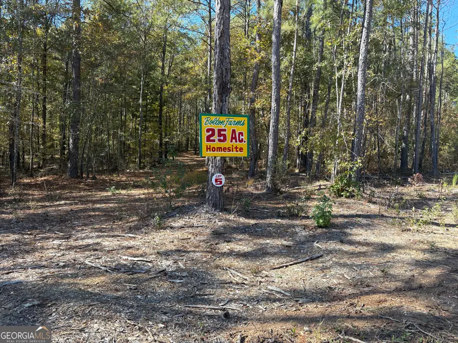 0 Bolton Road, Zebulon, GA 30295 - Image #2