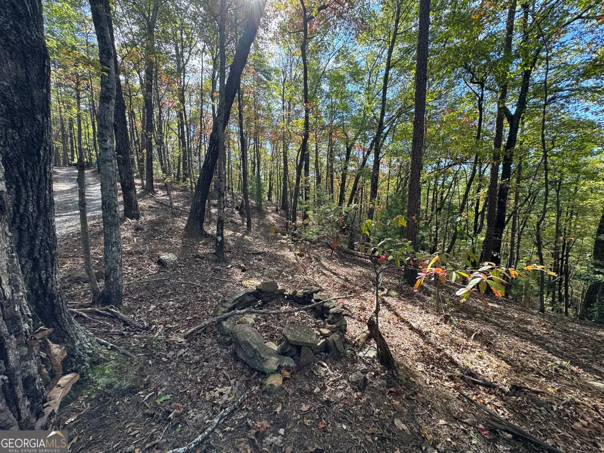 0 Peach Lane, Cherry Log, GA 30522 - Image #1