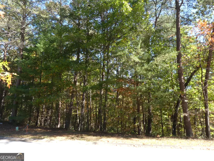 0 Zeppelin Strasse #LOT 78, Helen, GA 30545 - Image #3