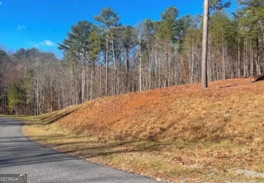 0 Twisted Oak Road, Talking Rock, GA 30175 - Image #3