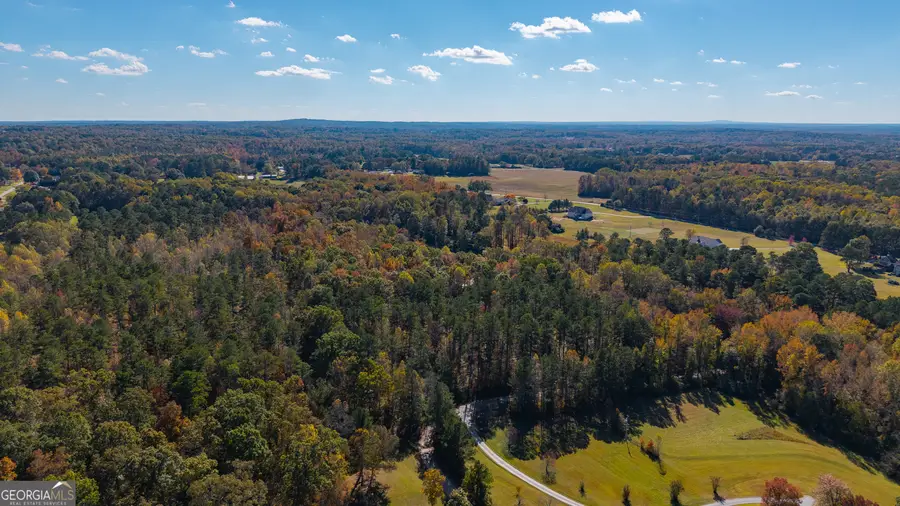 0 Roy Morgan Road #17.44 ACRES, Carrollton, GA 30117 - Image #2