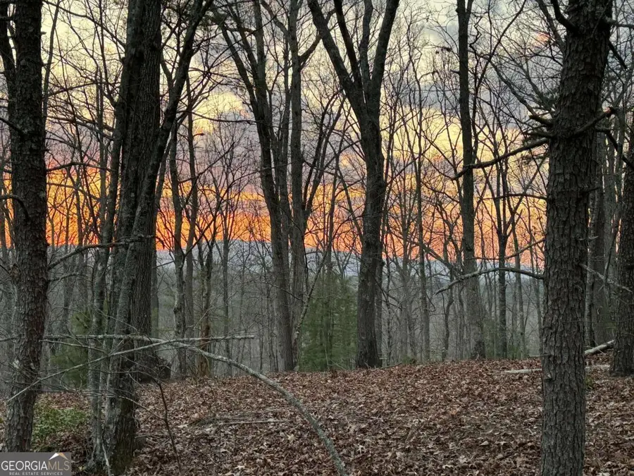 195 Wolf Creek Mountain Road, Mineral Bluff, GA 30559 - Image #3