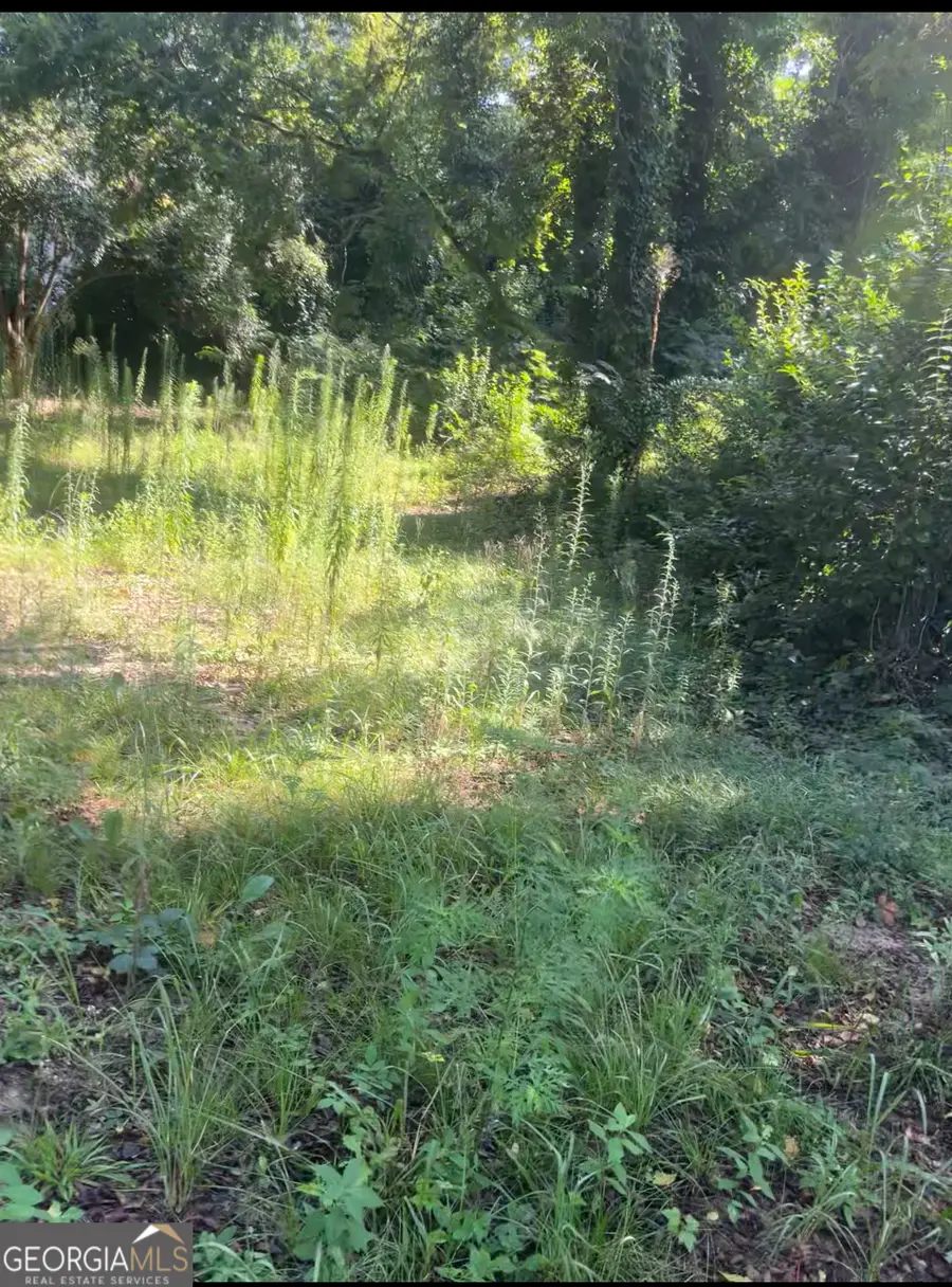 373 Gaillard Street, Macon, GA 31204 - Image #2