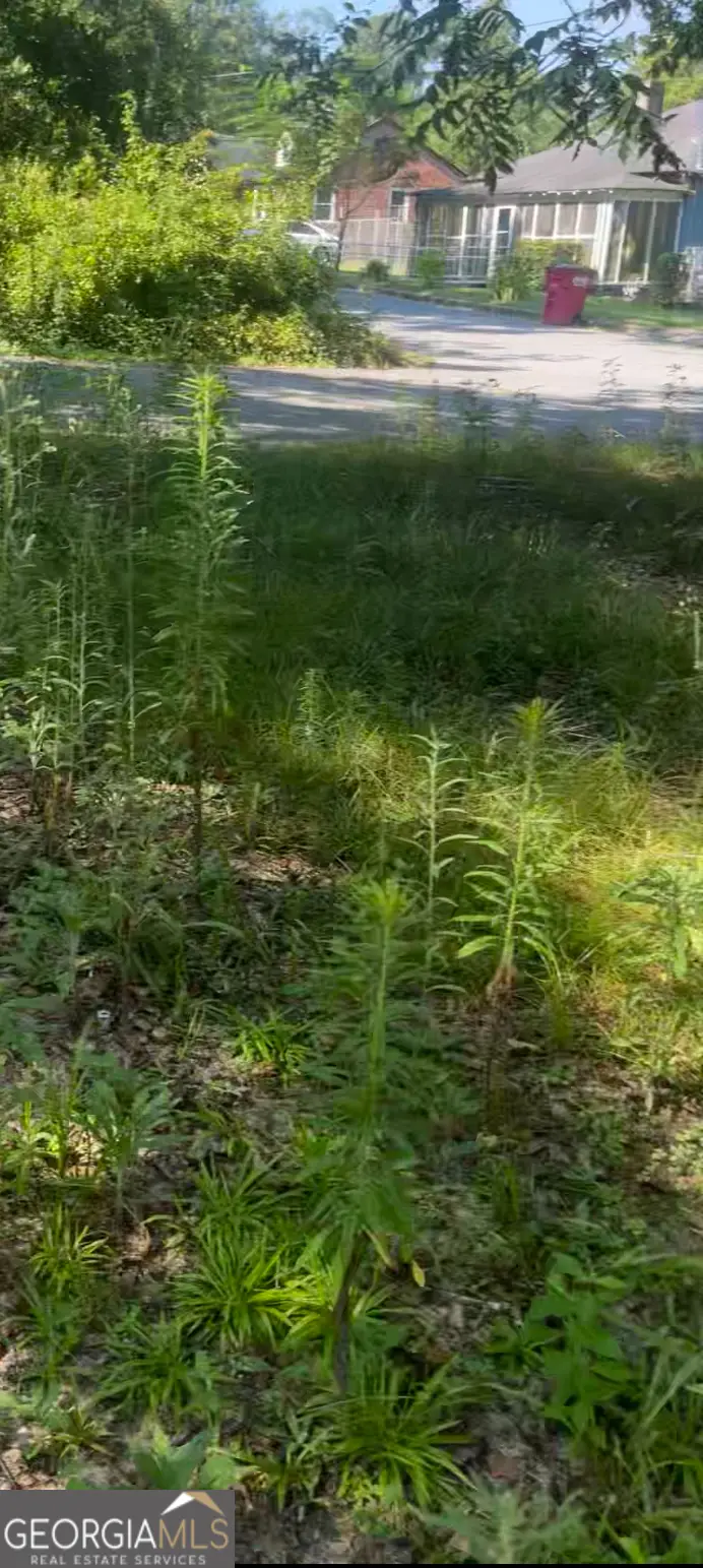 373 Gaillard Street, Macon, GA 31204 - Image #3