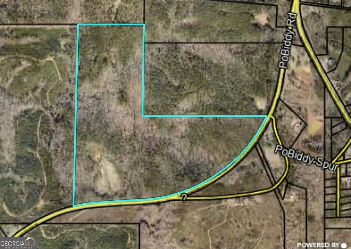 103 ACRES Pobiddy Road, Thomaston, GA 30286 - Image #1