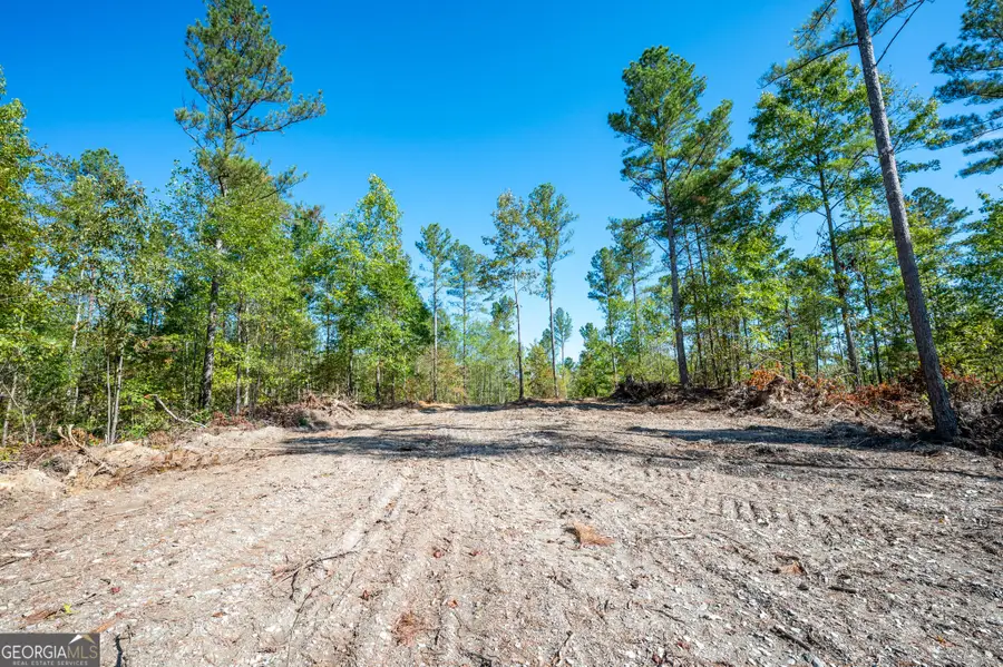 3793 Hwy 140 Ne, Rydal, GA 30171 - Image #3