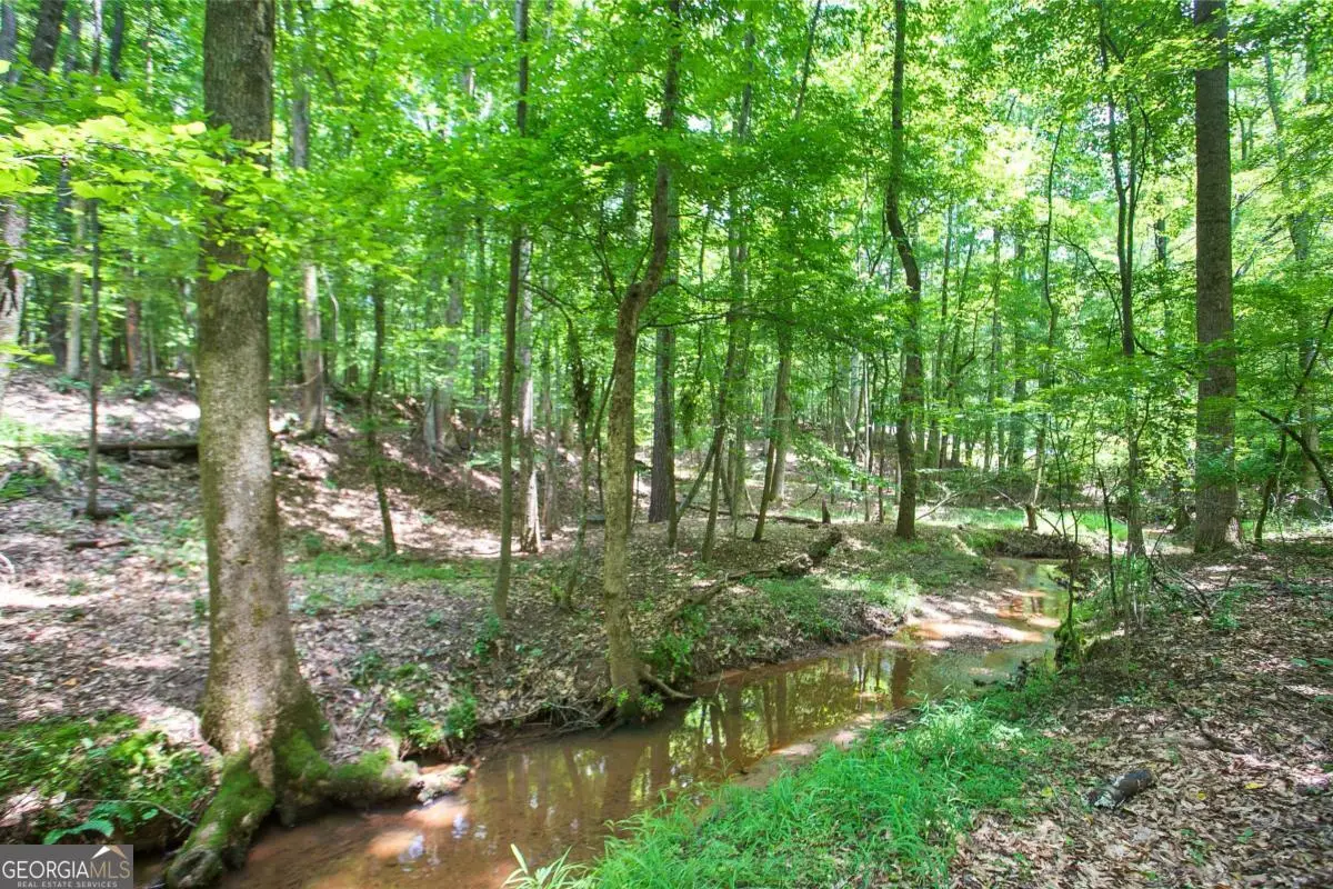 LOT20A Tanglewood Road, Newnan, GA 30263 - #1