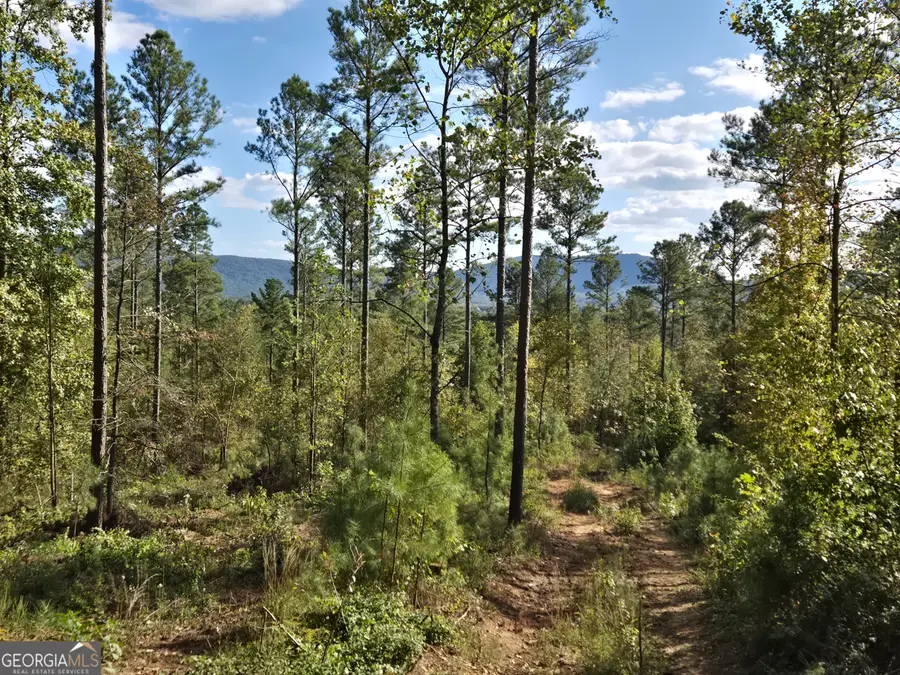 3871 Hwy 140 Ne, Rydal, GA 30171 - Image #2