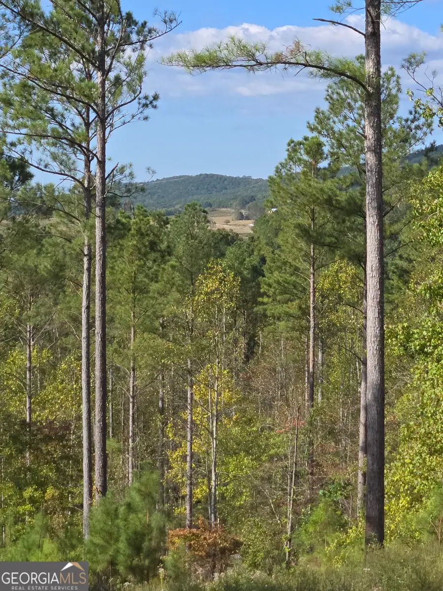 3871 Hwy 140 Ne, Rydal, GA 30171 - Image #3