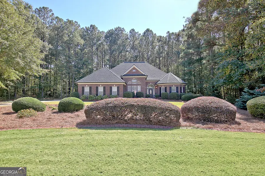 10 Posey Ridge Court, Newnan, GA 30265 - Image #3