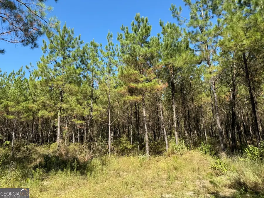 0020 Barnes Road, Gordon, AL 36343 - Image #3