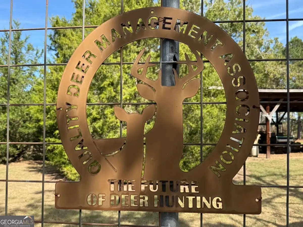 0 Williams Trail, Lyons, GA 30436 - Image #1