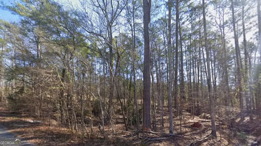 0 Parrot Court, Monticello, GA 31064 - Image #2