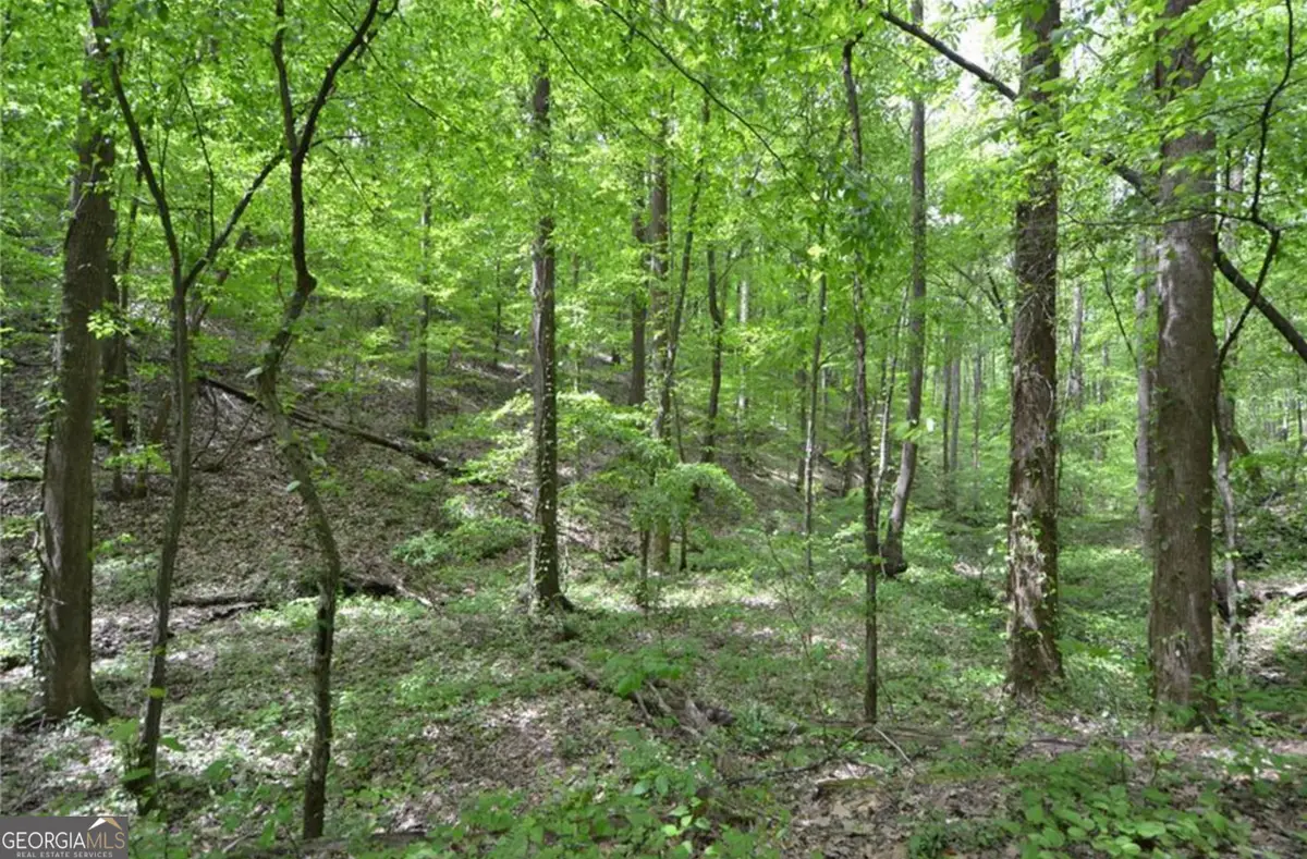 0 Sutton Road, Talking Rock, GA 30175 - Image #1