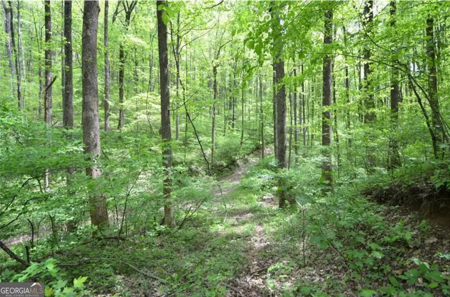 0 Sutton Road, Talking Rock, GA 30175 - Image #2