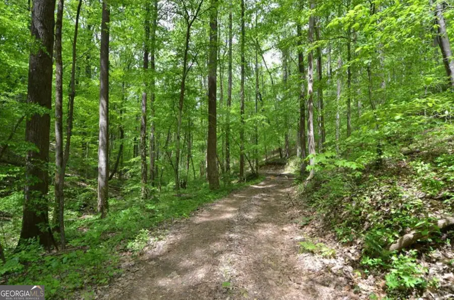 0 Sutton Road, Talking Rock, GA 30175 - Image #3