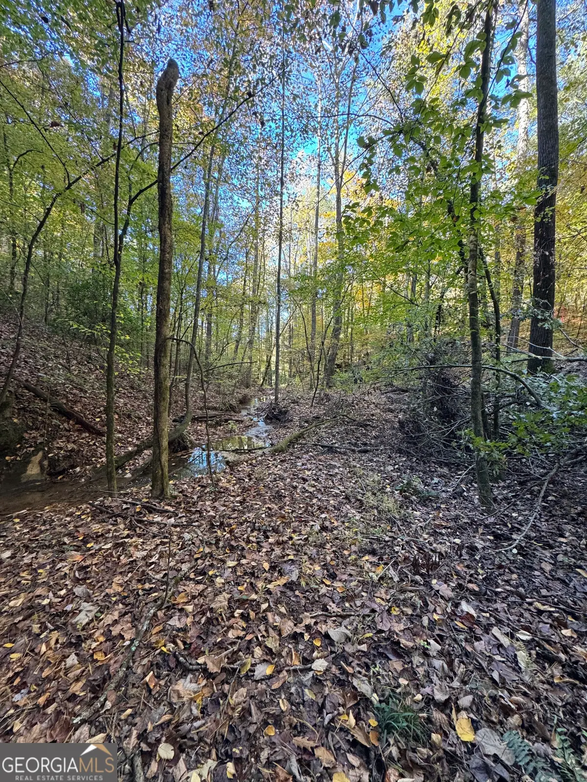 150 Babcock Road, Jasper, GA 30143 - Image #1